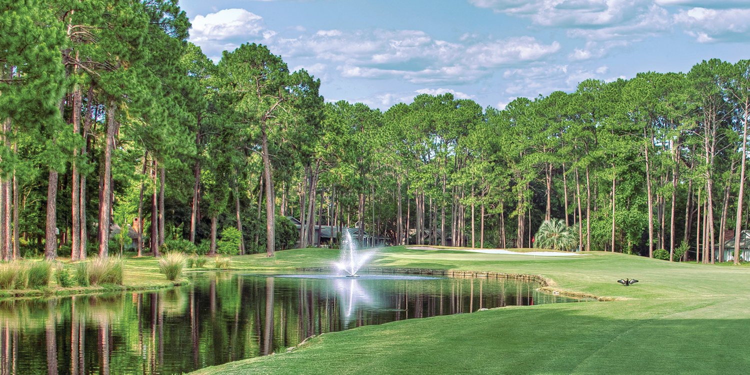 Dolphin Head Golf Course